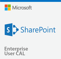 Microsoft SharePoint Server 2019 Enterprise User CAL - CSP | MyChoiceSoftware.com