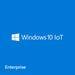 Microsoft Windows 10 IoT Enterprise LTSB 2016 High End
