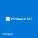 Microsoft Windows 11 IoT Enterprise Entry